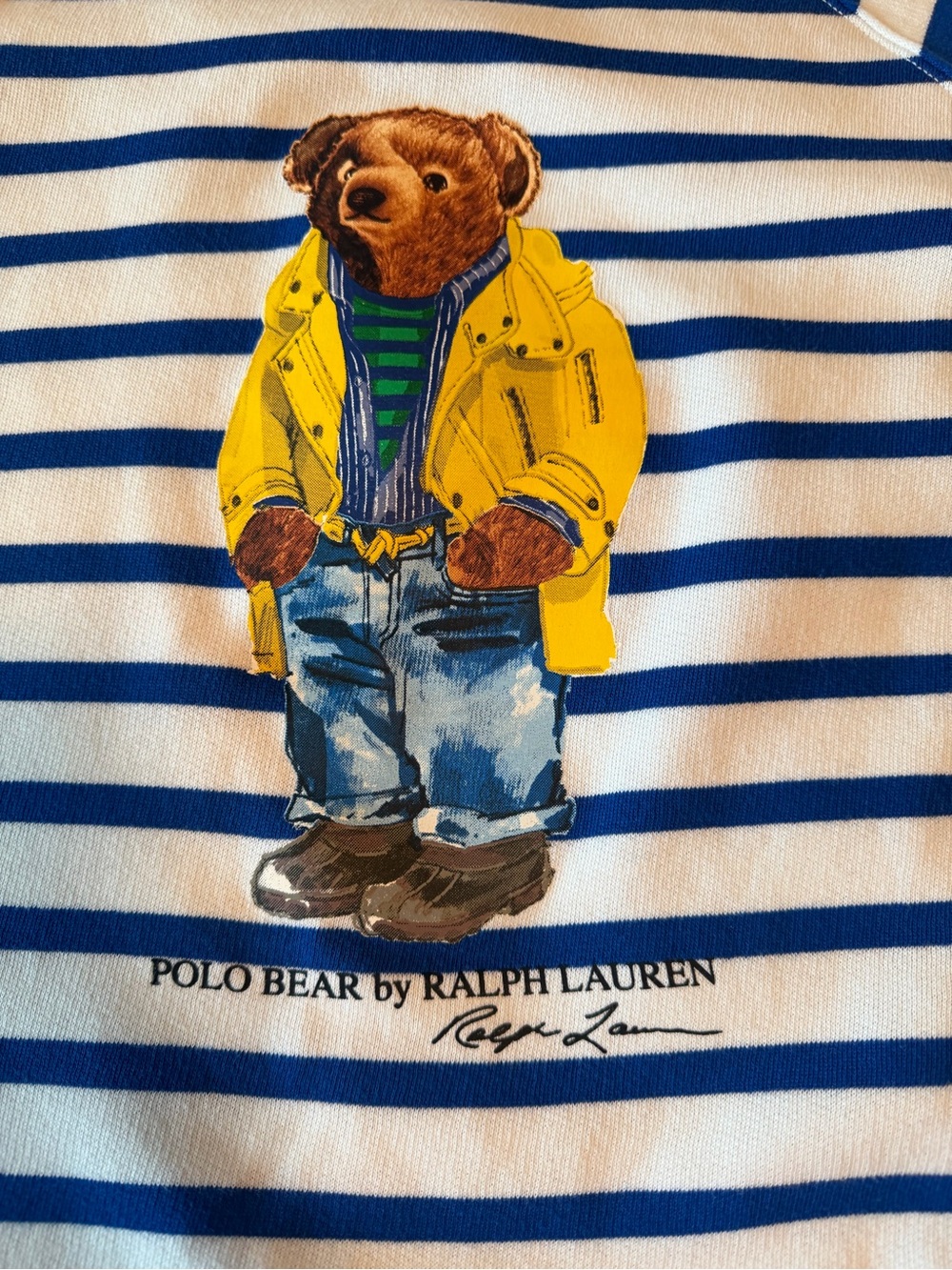 Polo by Ralph Lauren White & Blue Striped Bear Sweatshirt, Large